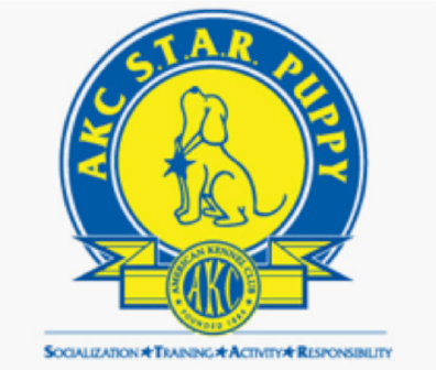 Akc obedience classes near 2024 me