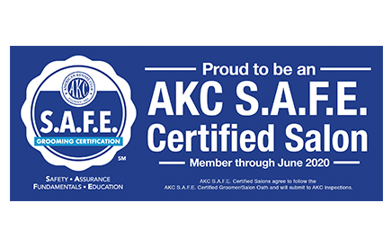 AKC S.A.F.E. Salon