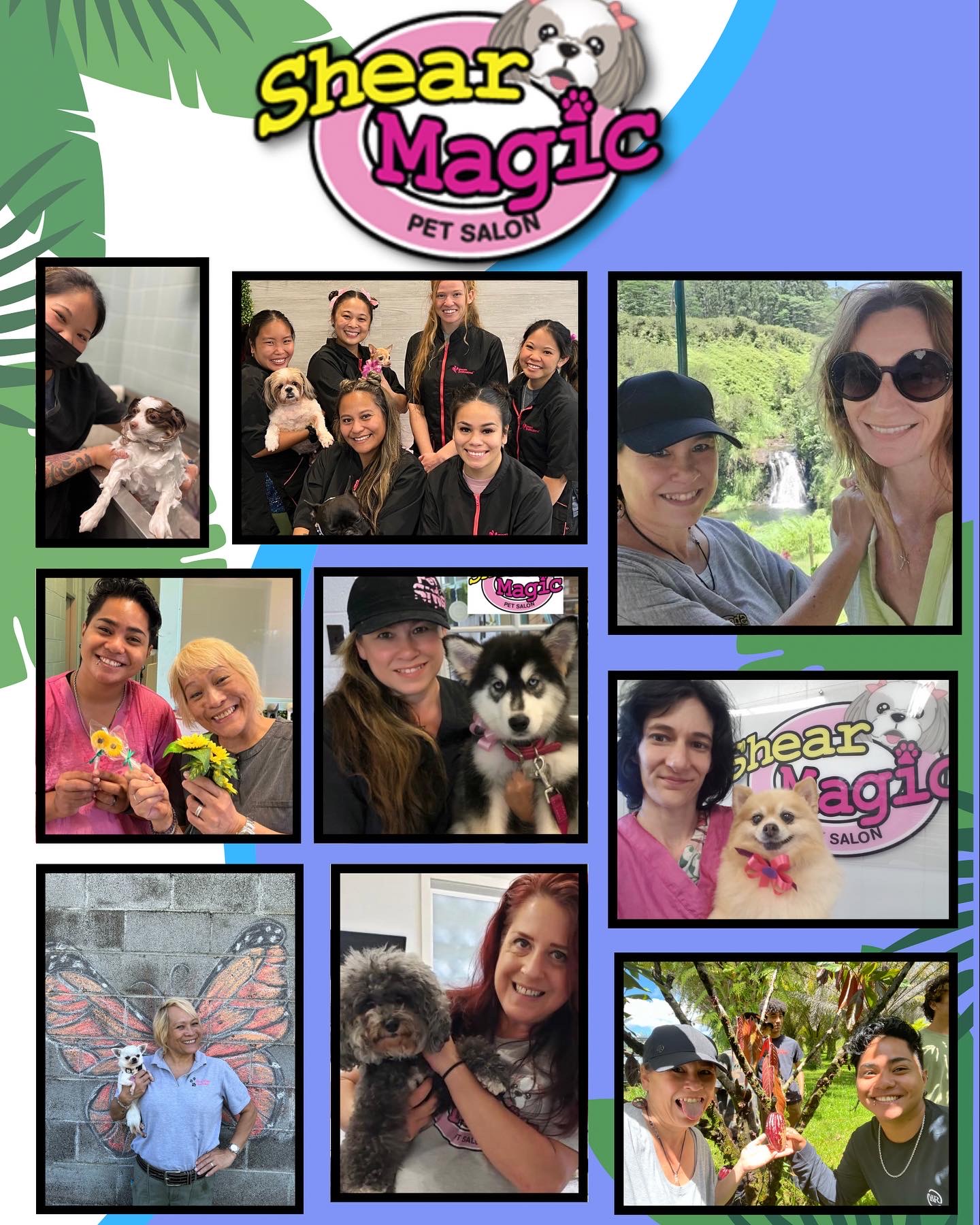 About Us Shear Magic