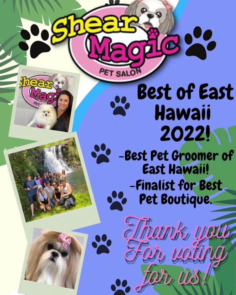 Best of store breed pet salon