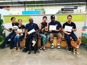 Beginner and Advanced Dog Training Classes for All Breeds and Types in Hilo, Hawaii