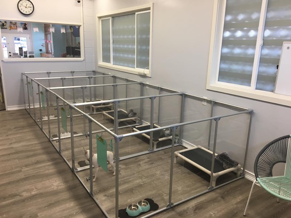 Petco boarding for store cats